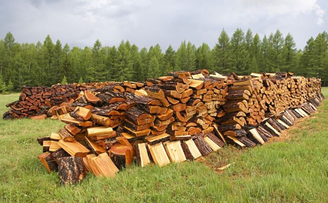 Смолевичский лесхоз первым в отрасли внедрил онлайн-заказ дров